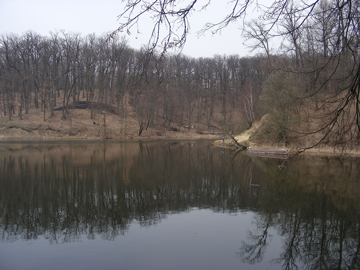 Устье-Воронка, image of landscape/habitat.