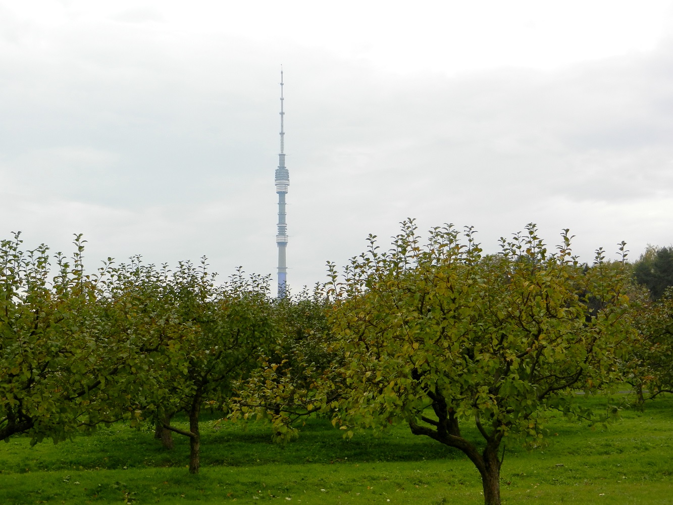 ВДНХ (ВВЦ), image of landscape/habitat.