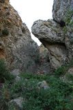Image of landscape
