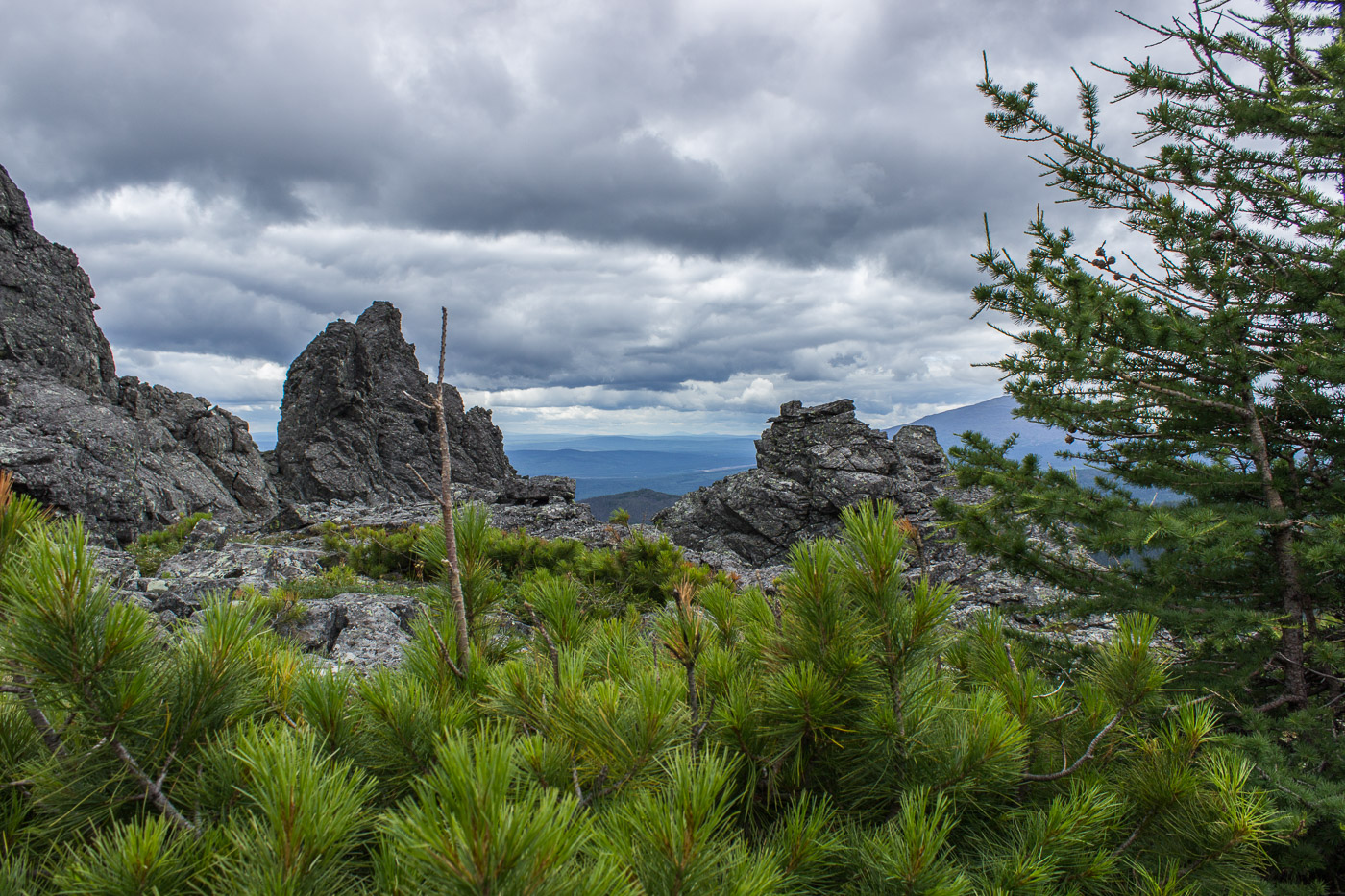 Серебрянский камень, image of landscape/habitat.