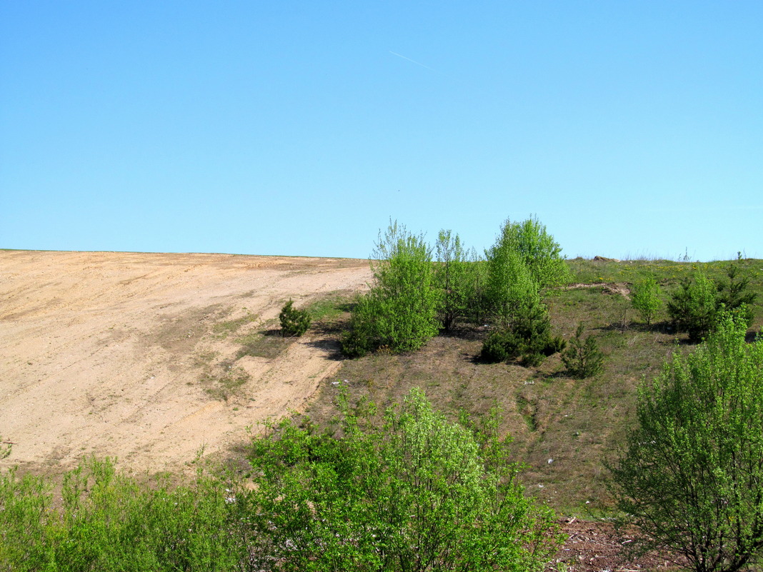 Пуцевичи, image of landscape/habitat.