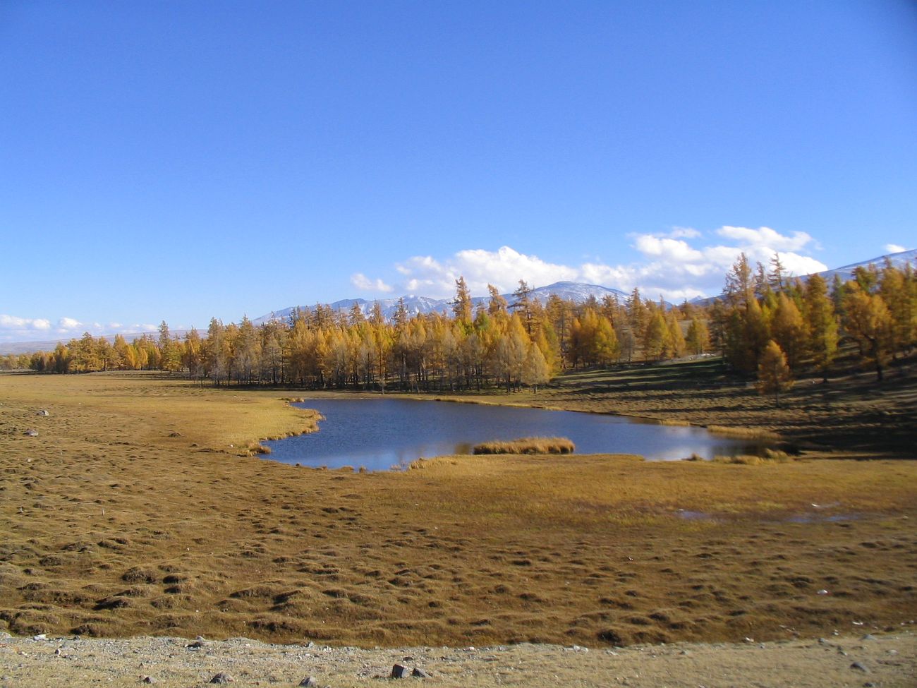 Озеро Хотон-Нур, image of landscape/habitat.