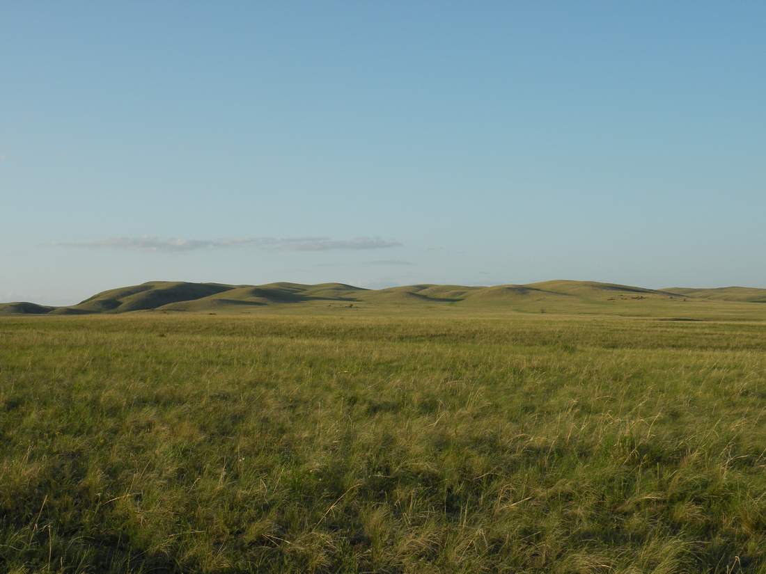 Озёрки, image of landscape/habitat.