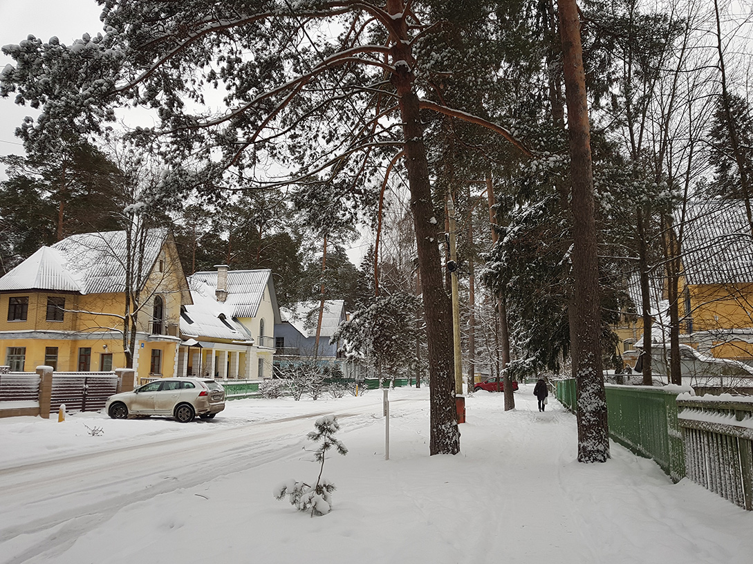 Дубна, image of landscape/habitat.