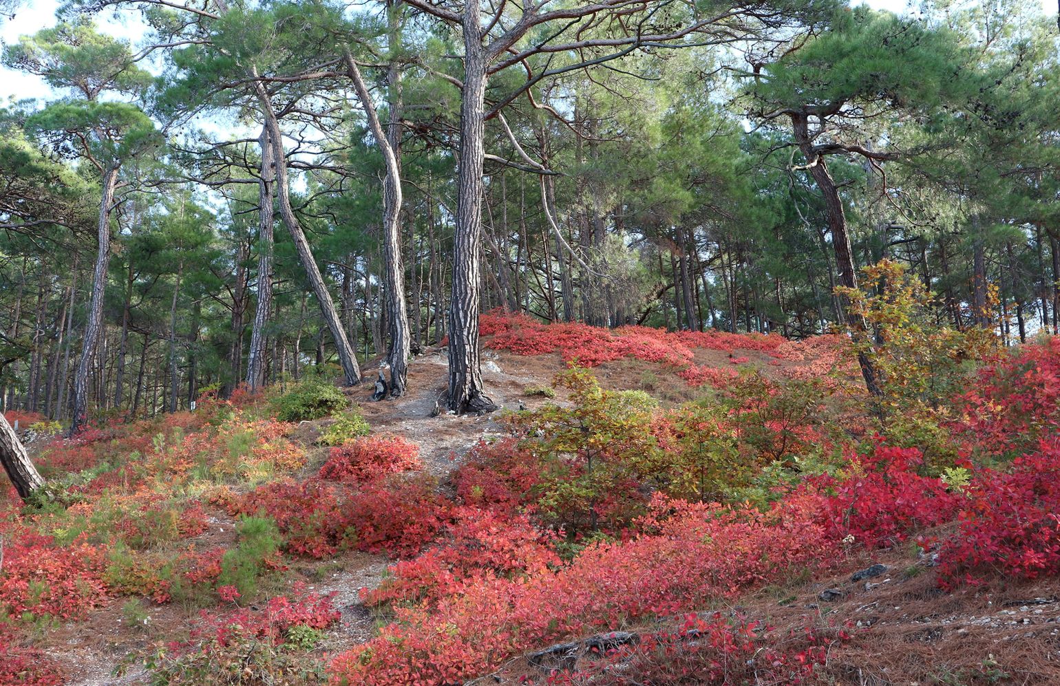 Голубая Бездна, image of landscape/habitat.