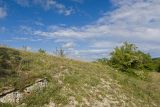 Image of landscape