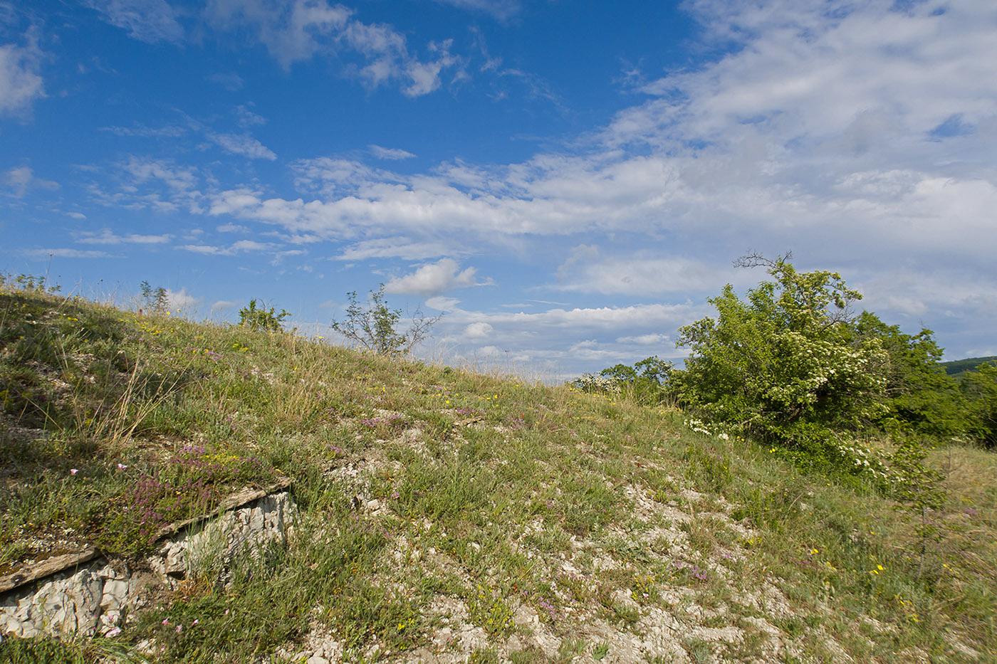 Скальное обнажение у ручья, image of landscape/habitat.