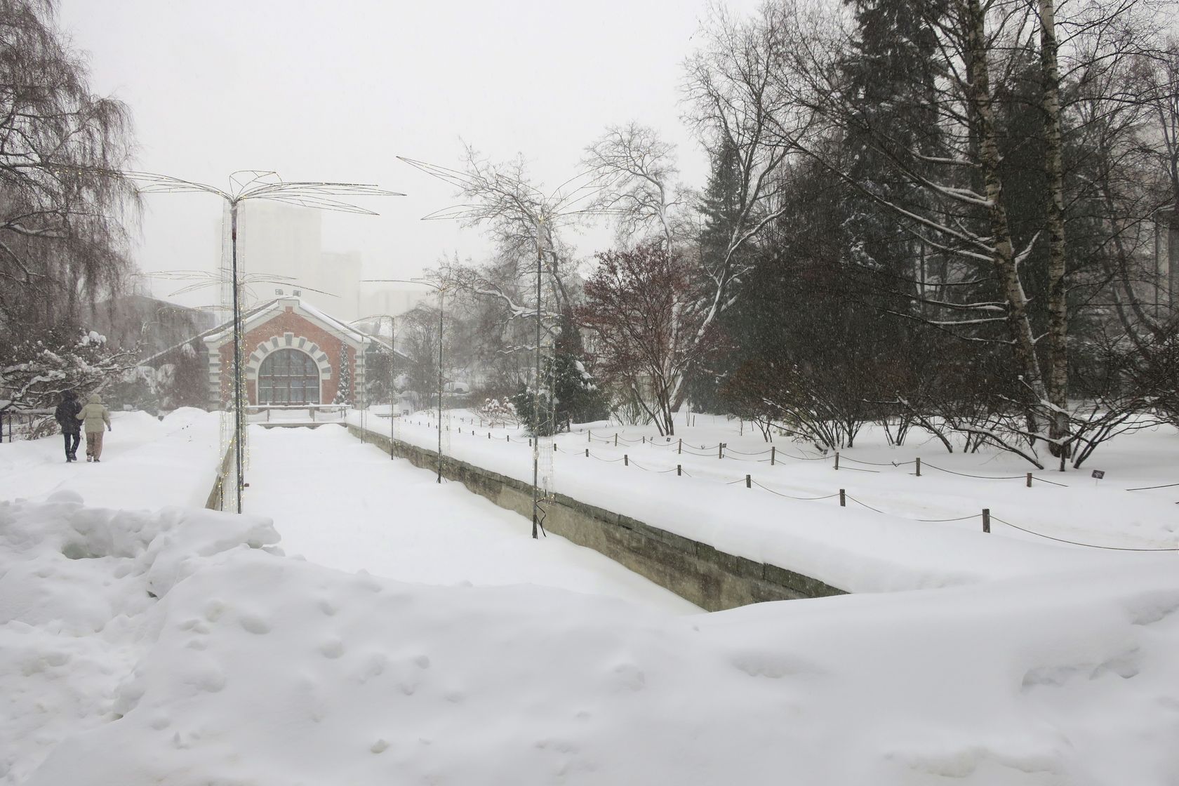 Аптекарский огород, image of landscape/habitat.