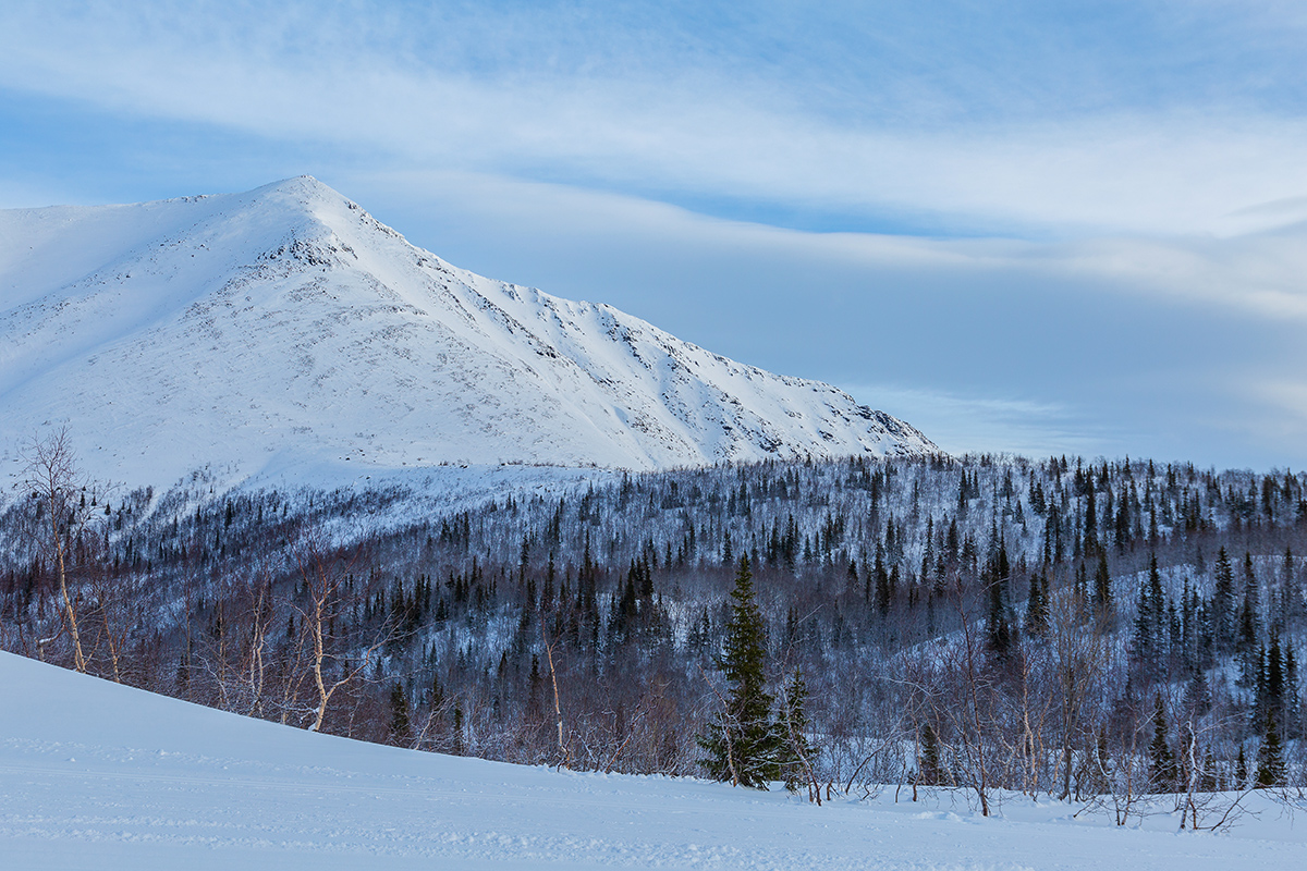 Кукисвумчорр, image of landscape/habitat.