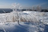 Дубна и окрестности, image of landscape/habitat.