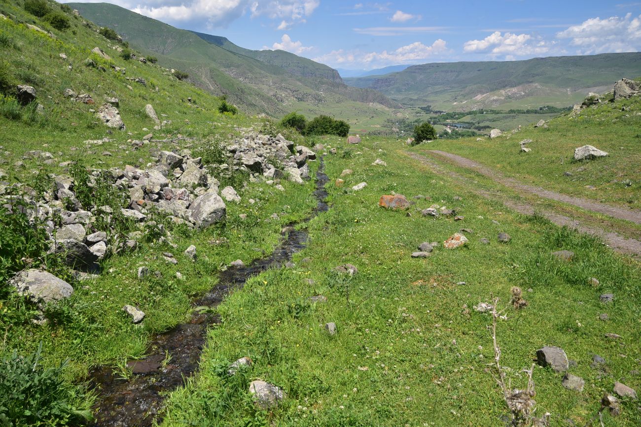 Окрестности села Тмогви, image of landscape/habitat.