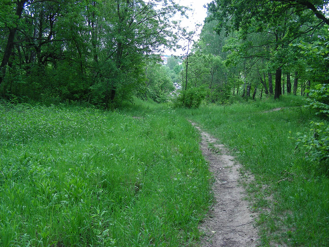 Устье-Воронка, image of landscape/habitat.