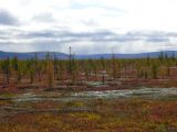 Landscape image