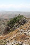Image of landscape