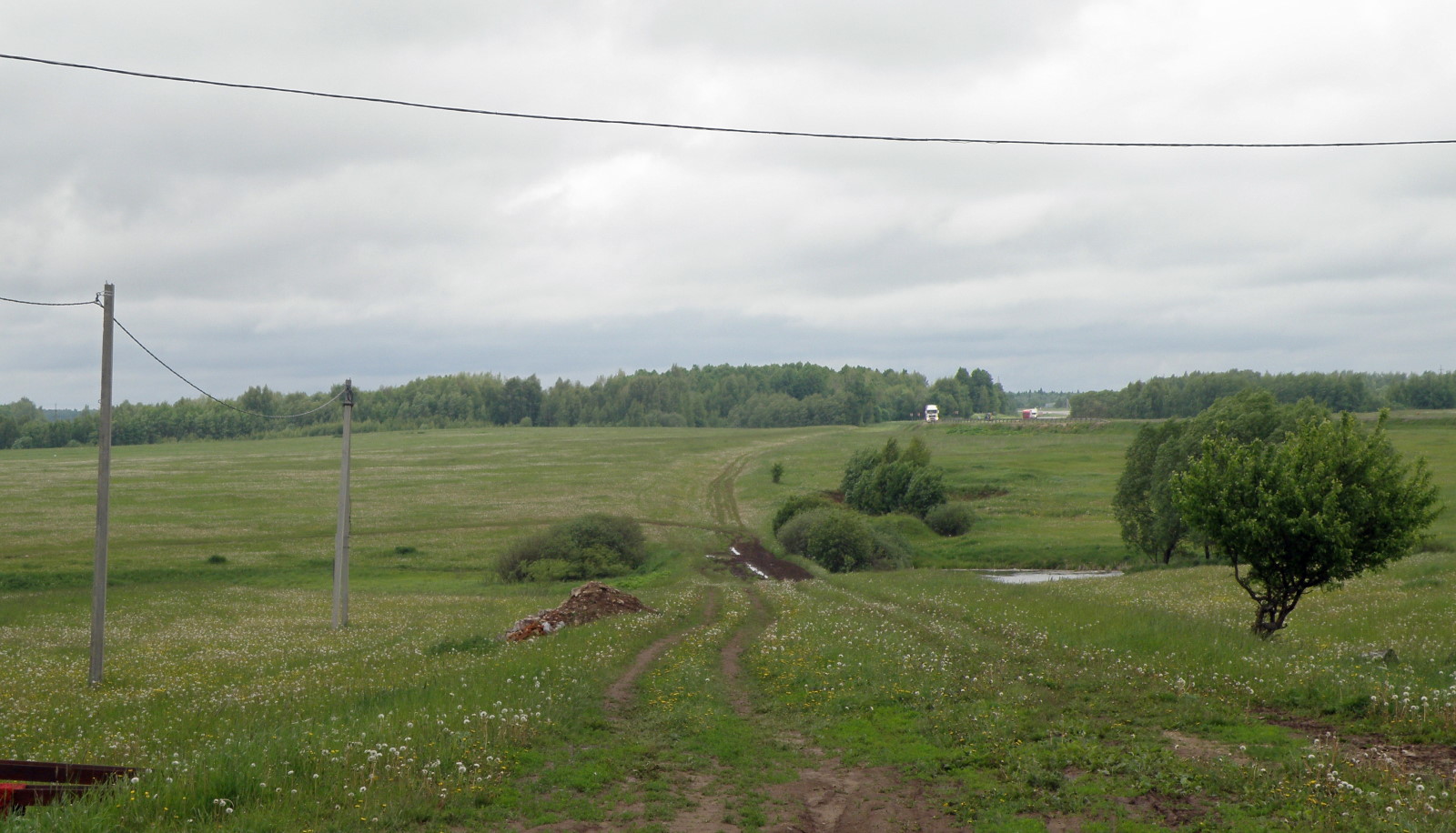 Окрестности с. Большая Брембола, image of landscape/habitat.