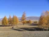 Image of landscape