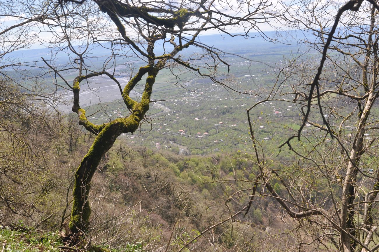 Окрестности крепости Пери-Кала, image of landscape/habitat.