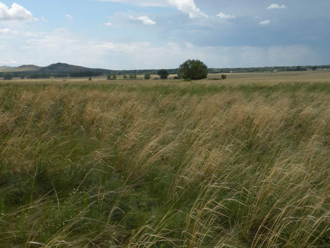 Озёрки, изображение ландшафта.