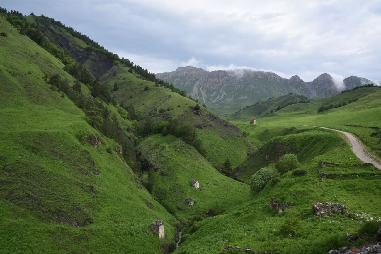 Окрестности урочища Цори, image of landscape/habitat.