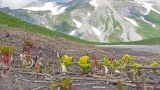 Карстовое двуозёрье, image of landscape/habitat.