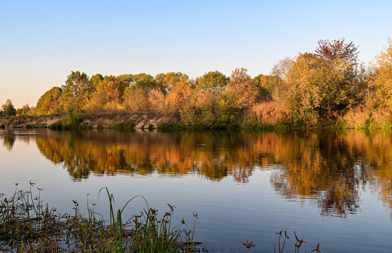 Окрестности села Марково, image of landscape/habitat.