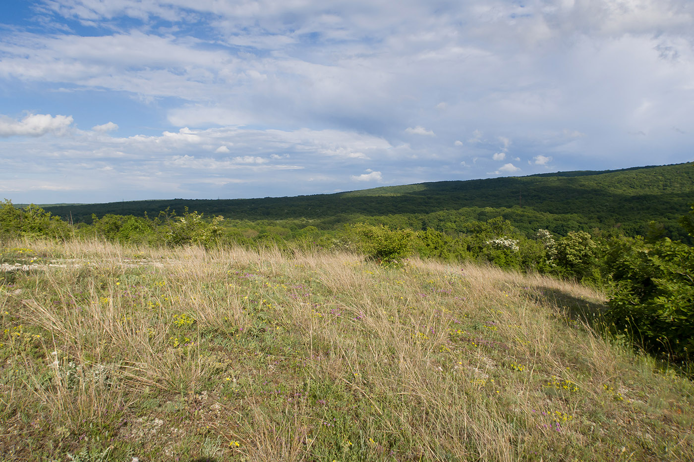 Скальное обнажение у ручья, image of landscape/habitat.