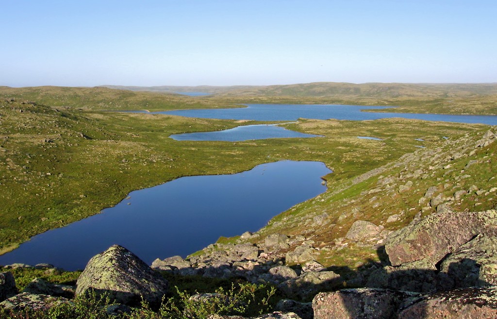 Каменная, image of landscape/habitat.