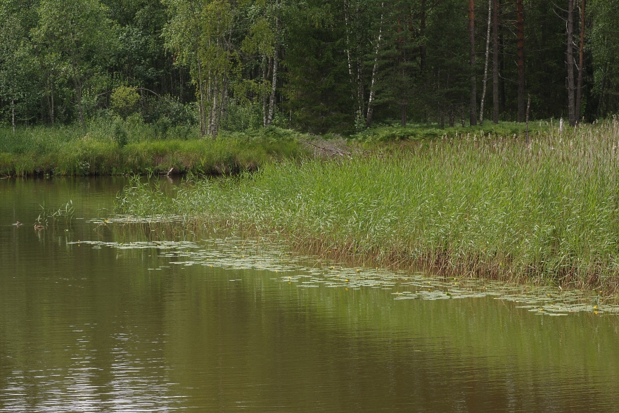 Деревня Кравотынь и окрестности, image of landscape/habitat.