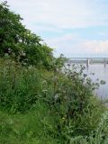 Image of landscape