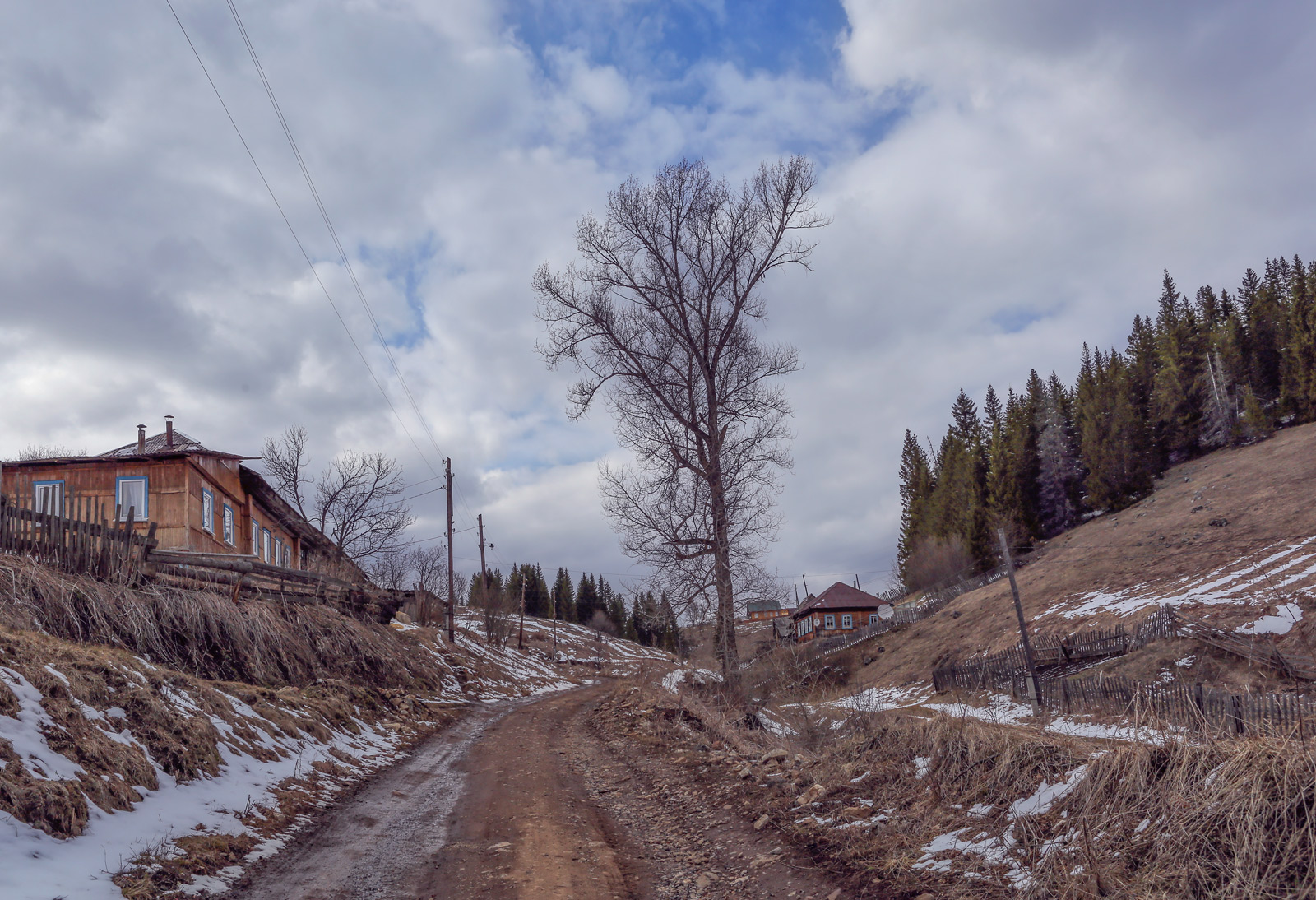 Кын и его окрестности, image of landscape/habitat.