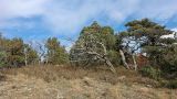 Большой Маркотх, image of landscape/habitat.