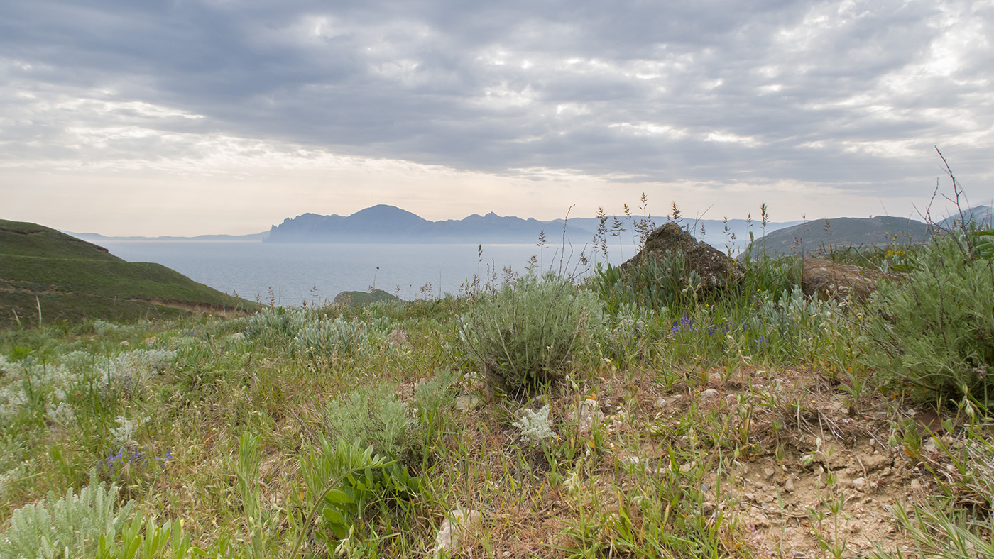 Гора Батон, image of landscape/habitat.