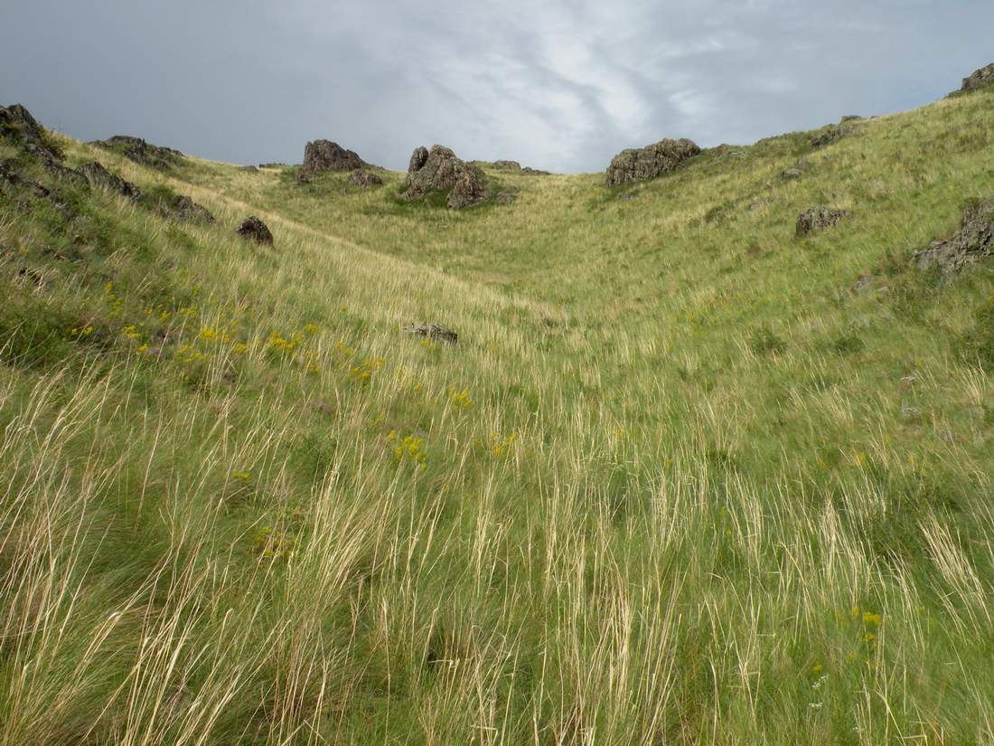 Озёрки, image of landscape/habitat.