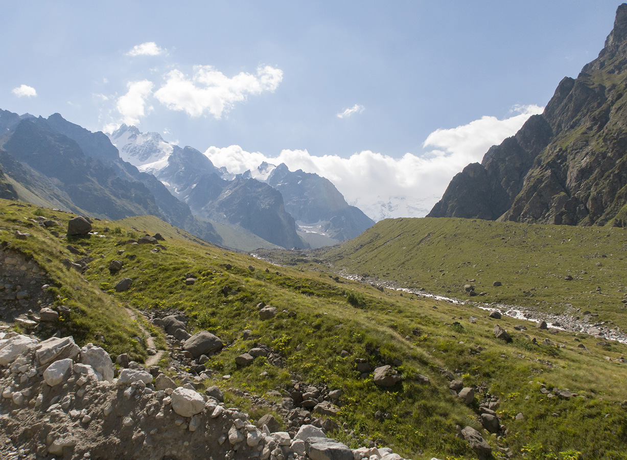 Мижирги, image of landscape/habitat.