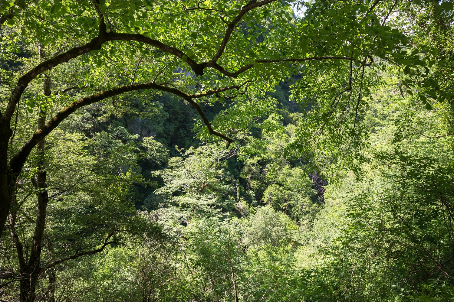 Иверская гора, image of landscape/habitat.