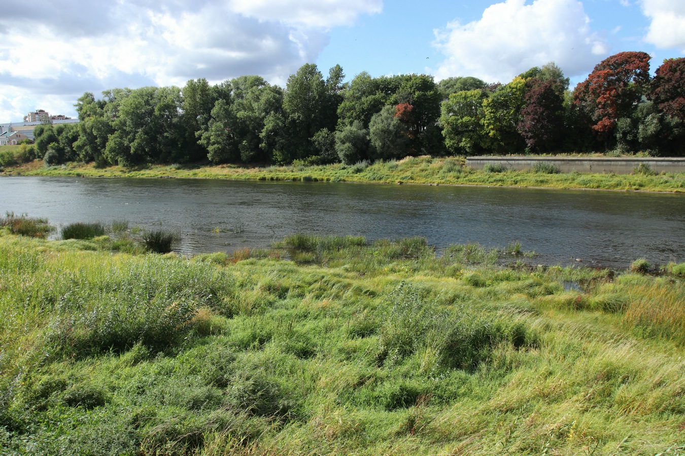 Центр Витебска, image of landscape/habitat.