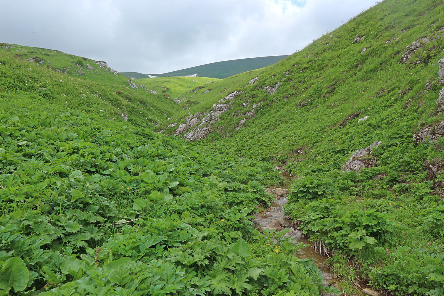 Инструкторская щель, image of landscape/habitat.