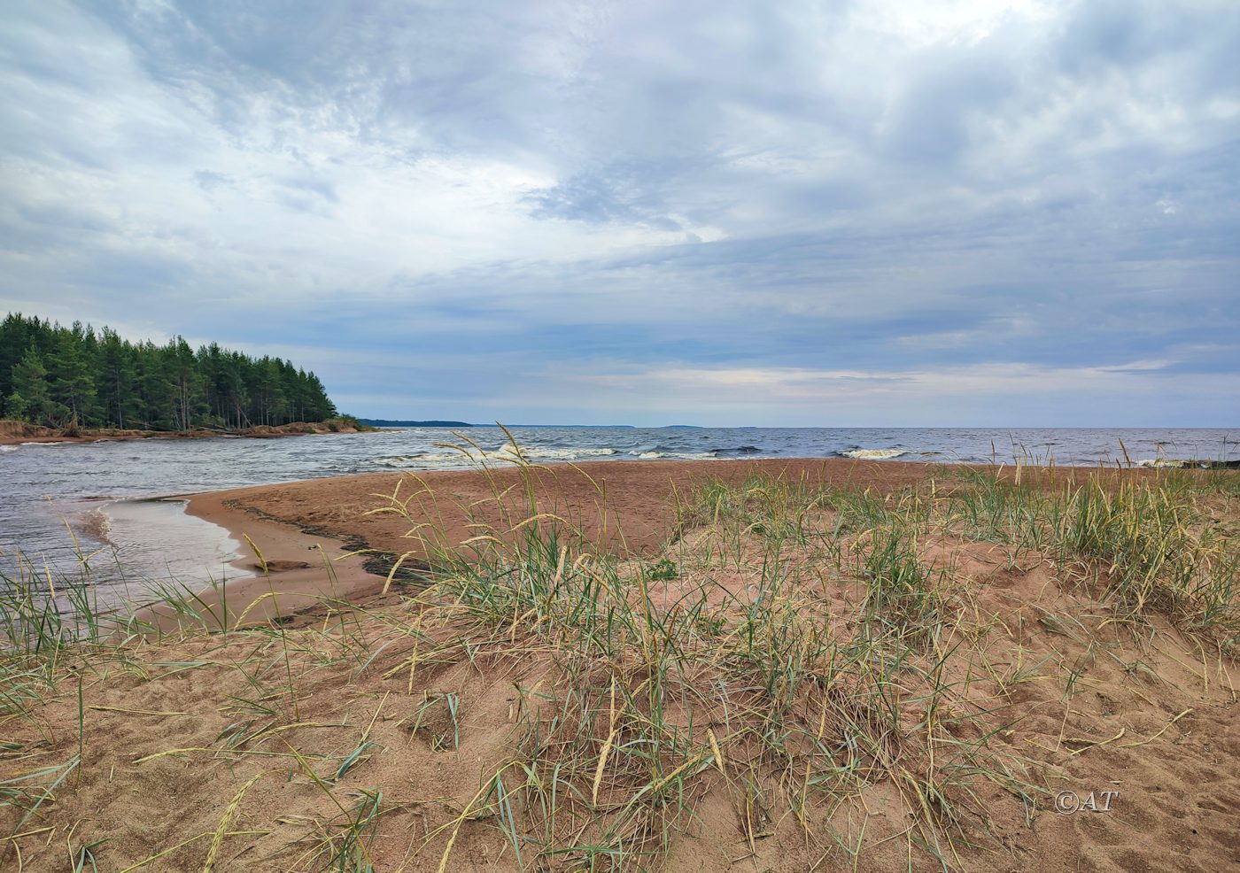 Устье Тулоксы, image of landscape/habitat.