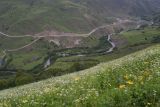 Мечеть Хакмадой, image of landscape/habitat.