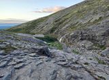 Image of landscape