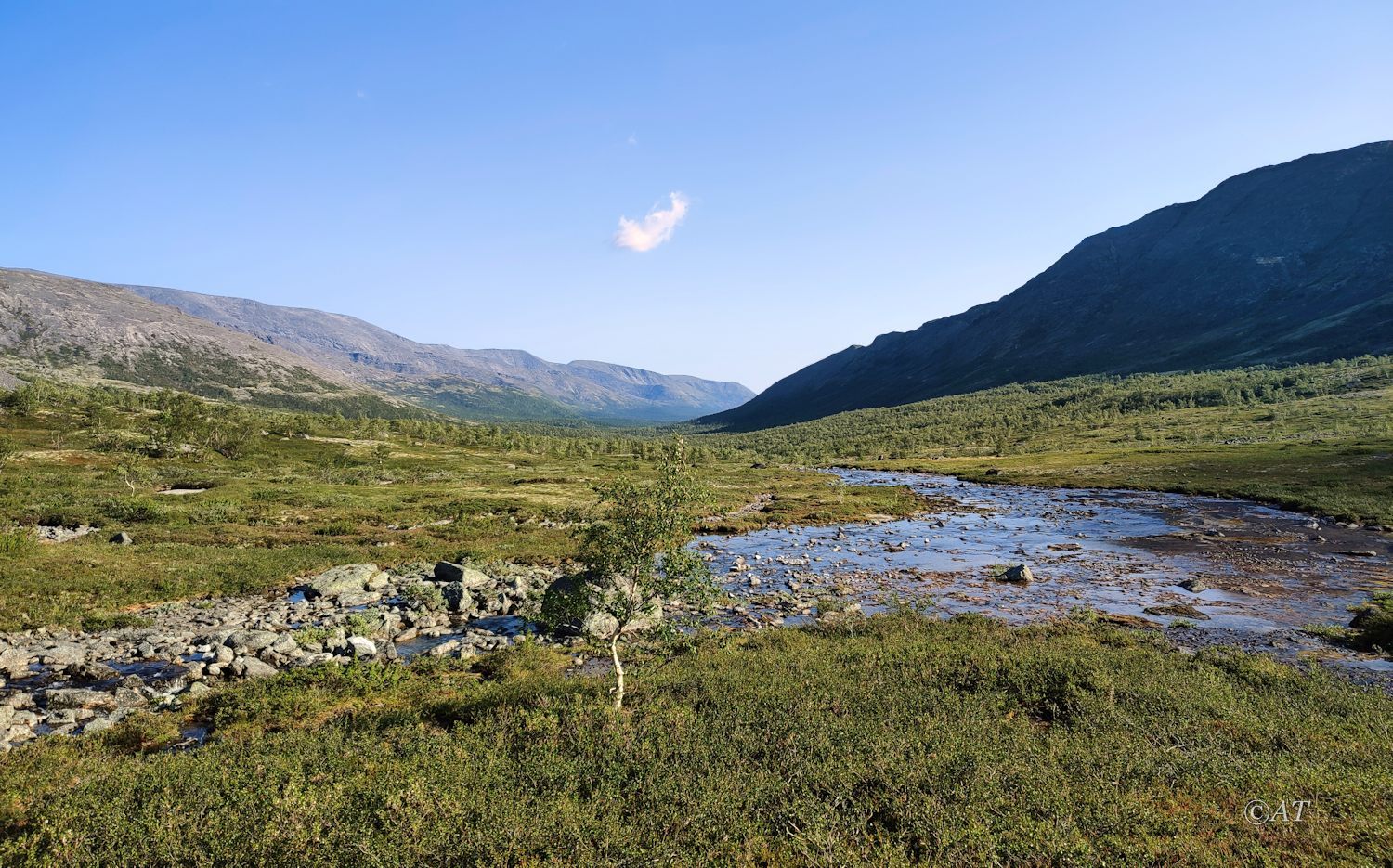 Верховья руч. Петрелиуса, image of landscape/habitat.