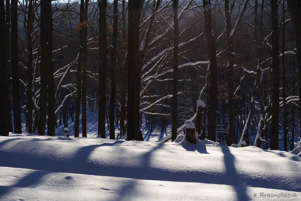 Дубна и окрестности, image of landscape/habitat.