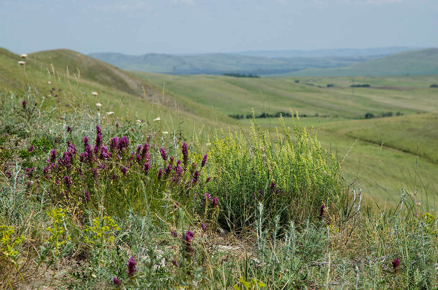 Долгие горы, image of landscape/habitat.