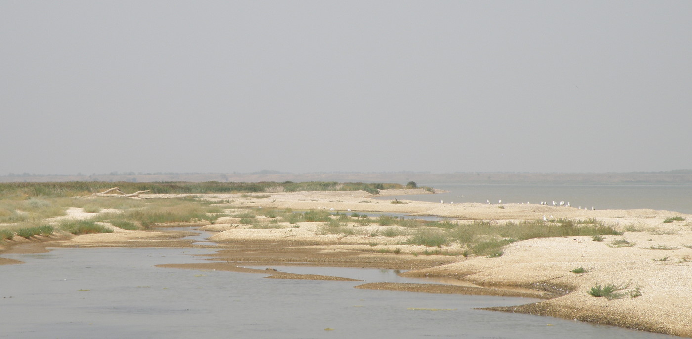 Коса Камышеватская, image of landscape/habitat.