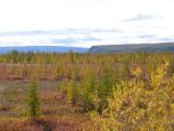 Landscape image