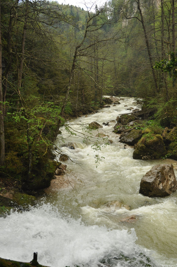 Курджипское ущелье, image of landscape/habitat.