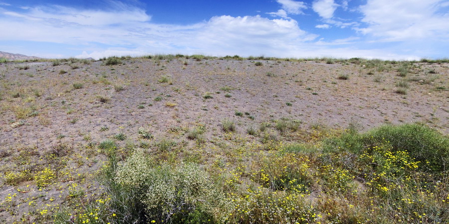 Гораванские пески, изображение ландшафта.