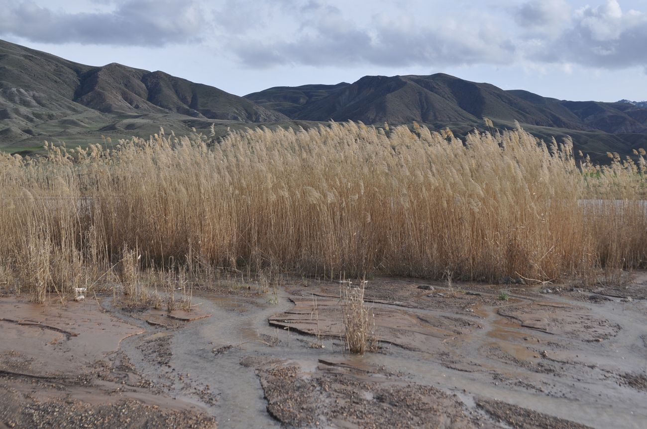 Окрестности мечети Айдин Кавак, image of landscape/habitat.