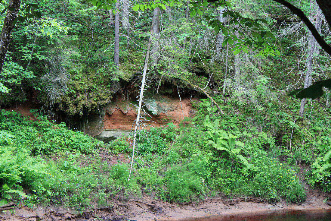 Окрестности Кемки, image of landscape/habitat.