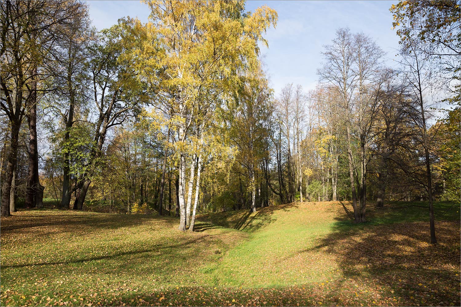 Парк "Александрия", изображение ландшафта.